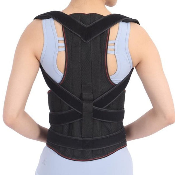Back Support